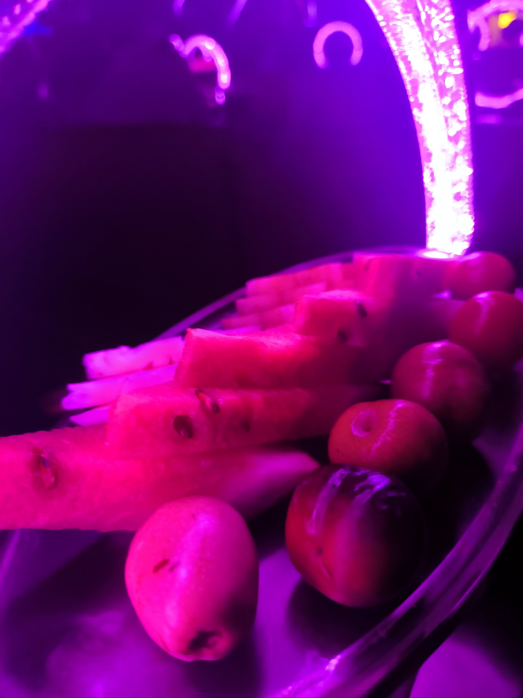 宁波商务ktv，尽享夜场商务ktv宣传的魅力-余姚市KTV团购